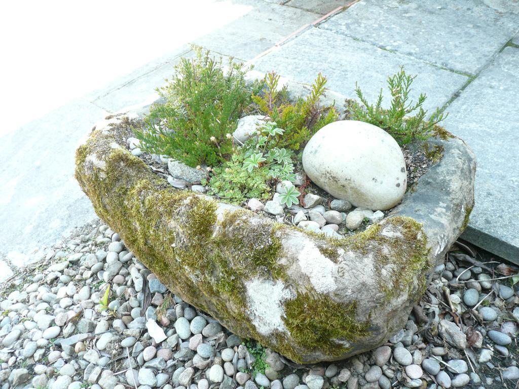 Carden Holiday Cottages - Elgin Crook of Alves Exteriör bild