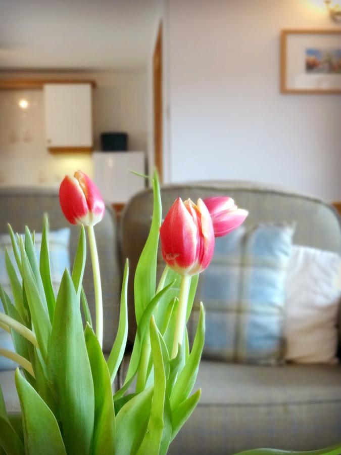 Carden Holiday Cottages - Elgin Crook of Alves Exteriör bild